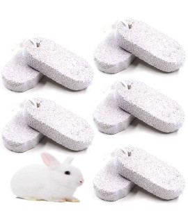 PINVNBY PIVBY Teeth Grinding Lava Bites Block Chew Treats Toys for Hamster Chinchilla Rabbit (Pack of 10)