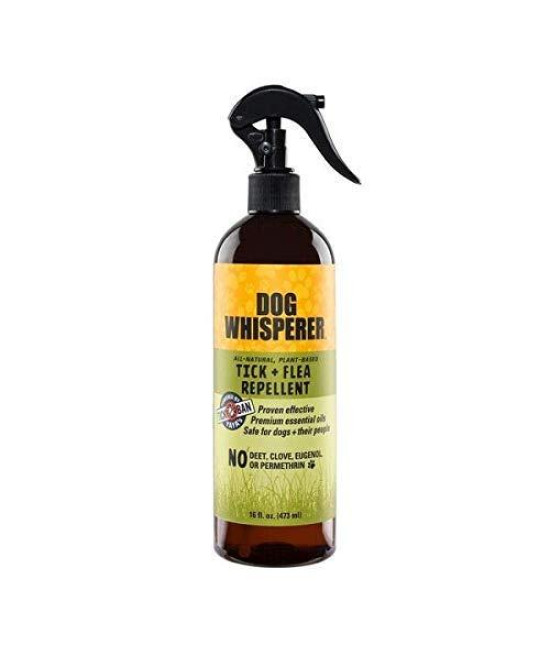 Dog Whisperer Tick + Flea Repellent, All-Natural, Extra Strength, Effective on Dogs and Their People (16 Ounce Spray)