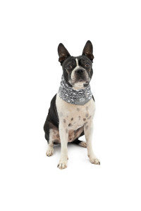 Kurgo Dog Scruff Scarf, Dog Snood, Dog Neck and Ears Warmer, Scarf for Pets, Protects Dog in Cold Weather, Small, Charcoal/White