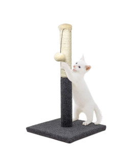allpetsolutions cat Scratching Post grey Kitten climbing Tree Scratcher, 50 cm