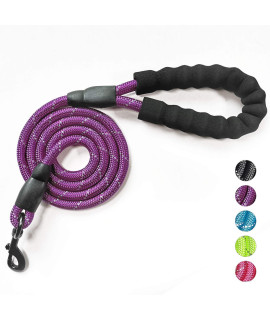 VLDCO 10 FT Strong Dog Leash Extra Heavy Duty Rock Climbing Rope Comfortable Padded Handle Highly Reflective Threads for Small Medium Large Dogs, 1/2 inch Diameter (Purple)
