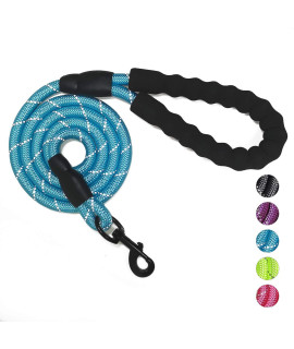 10 FT Strong Dog Leash Extra Heavy Duty Rock Climbing Rope Comfortable Padded Handle Highly Reflective Threads for Small Medium Large Dogs, 1/2 inch Diameter (Blue)