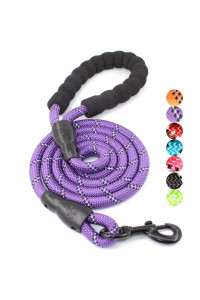 BAAPET 2/4/5/6 FT Dog Leash with Comfortable Padded Handle and Highly Reflective Threads for Small Medium and Large Dogs (5FT-1/2'', Purple)