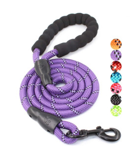 BAAPET 2/4/5/6 FT Dog Leash with Comfortable Padded Handle and Highly Reflective Threads for Small Medium and Large Dogs (5FT-1/2'', Purple)