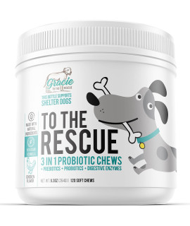 Probiotic Chews for Dogs, Support Digestive Health, Dog Probiotics and Digestive Enzymes, Dog Probiotic Chews, Probiotic Dogs, Puppy Probiotic, Pet Probiotics for Dogs - 120 Soft Chews