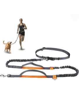 Winkeyes Hands Free Retractable Dog Leash 5ft-8ft with Dual Bungees for Puppy, Small & Medium Dogs 110Ibs, Adjustable Waist Belt 27-47, Reflective Stitching Leash for Running Walking Hiking (Orange)