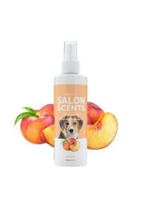 Bark2Basics Salon Scents Pet Grooming Cologne - 8 oz, Natural Professional Grade Perfume for Dogs and Cats, Long Lasting, Deodorizing, Made in USA (Peach Fizz)