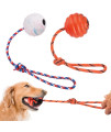 PrimePets Dog Training Ball on Rope, 2 Pcs Solid Rubber Rope Ball, Tug Ball Toy for Medium and Small Dog, Tough Rope Toy, Non-Toxic and Durable Dog Toys
