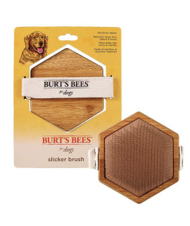 Burt's Bees for Pets Palm Slicker Brush, Recycled Bamboo Dog Brushes, Dog Brush, Dog Hair Brush, Burts Bees Pet Bush, Puppy Brush, Pet Hair Brush, Pet Comb, Dog Grooming Tools, Grooming Brush