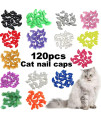 VICTHY 120pcs Cat Nail Caps, Colorful Pet Cat Soft Claws Nail Covers for Cat Claws with Adhesive and Applicators Small