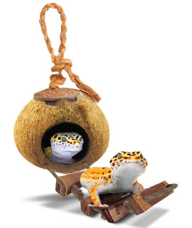 Sungrow Leopard Gecko Coconut Husk Hut With Ladder, With Shell Opening, Cave Habitat With Hanging Loop, 1 Pc Per Pack