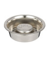 Neater Pet Brands Slow Feed Bowl Stainless Steel (1 Cup) Fits in Most 1 Quart Feeders