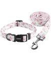 Ihoming Puppy Collar and Leash Set for Daily Outdoor Walking Running Training, Floral Sky Design for Extra Small Boys Girls Dogs Cats Pets, XS-Up to 10LBS