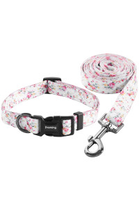 Ihoming Puppy Collar and Leash Set for Daily Outdoor Walking Running Training, Floral Sky Design for Extra Small Boys Girls Dogs Cats Pets, XS-Up to 10LBS