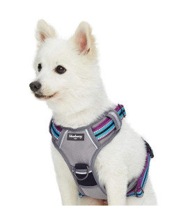 Blueberry Pet Soft & Comfy 3M Reflective Multi-Colored Stripe Mesh Padded No Pull Dog Harness Vest with Front/Back Leash Clips, Large, Violet & River Blue