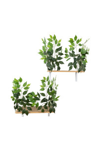 On2Pets Cat Shelves Wall-Mounted Cat Trees Cat Furniture for Climbing, Playing and Relaxing, Set of 2, Indoor Cat Shelf Made in USA?(Zen Green, Rectangle)