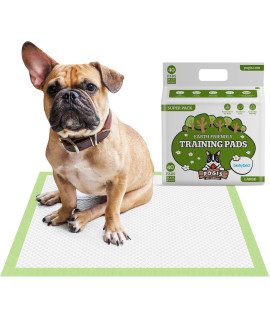 Pogis Dog Training Pads with Adhesive Sticky Tabs (40-count) (24x24in) - Large Puppy Pads, Earth-Friendly Dog Pads, Plant-Based Puppy Pee Pads for Dogs - Puppy Supplies for Small to Large Sized Dogs