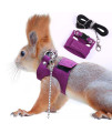 Squirrel Traction Rope Strap Anti-Biting Chain Rope, Adjustable Vest, Small Animal Walking Harness with Lead Leash, Hamster Gerbil Rat Mouse Ferret Chinchilla Small Animal Walking Leash