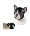 Enjoying Pet Helmet Dog Hard Hat Helmet Doggie Motorcycle Helmet for Bike Riding Doggy Helmet Black, Medium