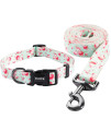 Ihoming Dog Collar and Leash Set for Daily Outdoor Walking Running Training, Floral GreenLake Design for Medium Boys Girls Dogs Cats Pets, M-Up to 45LBS