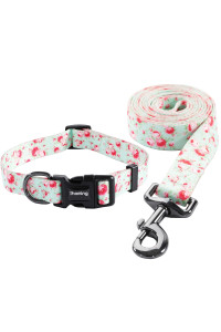 Ihoming Dog Collar and Leash Set for Daily Outdoor Walking Running Training, Floral GreenLake Design for Medium Boys Girls Dogs Cats Pets, M-Up to 45LBS