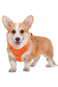 BARKBAY No Pull Dog Harness Large Step in Reflective Dog Harness with Front Clip and Easy Control Handle for Walking Training Running with ID tag Pocket(Orange,M)