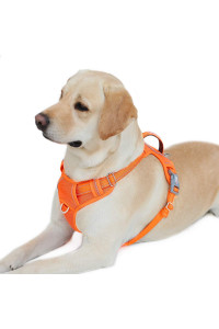 BARKBAY No Pull Dog Harness Front Clip Heavy Duty Reflective Easy Control Handle for Large Dog Walking with ID tag Pocket(Orange,L)