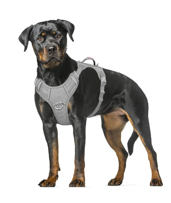 BARKBAY No Pull Dog Harness Large Step in Reflective Dog Harness with Front Clip and Easy Control Handle for Walking Training Running with ID tag Pocket(Grey,XL)