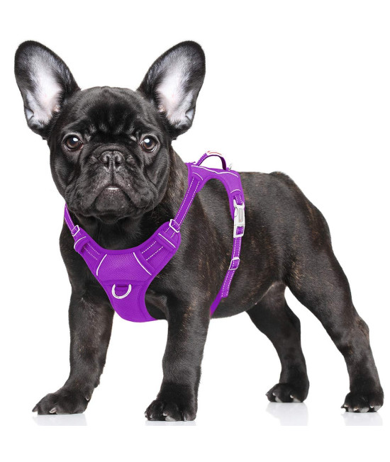 BARKBAY No Pull Dog Harness Large Step in Reflective Dog Harness with Front Clip and Easy Control Handle for Walking Training Running with ID tag Pocket(Purple,S)