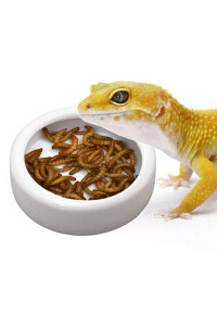 TDPET Ceramic Mini Reptile Worm Dish - Lizard Escape Proof Feeding Bowl Circular (Small-1Pack, White)