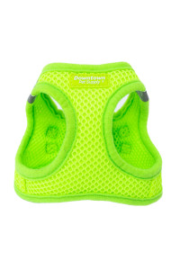 Downtown Pet Supply Step in Dog Harness for Small Dogs No Pull, Medium, Hunter Green - Adjustable Harness with Padded Mesh Fabric and Reflective Trim - Buckle Strap Harness for Dogs