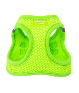 Downtown Pet Supply Step in Dog Harness for Small Dogs No Pull, Medium, Hunter Green - Adjustable Harness with Padded Mesh Fabric and Reflective Trim - Buckle Strap Harness for Dogs