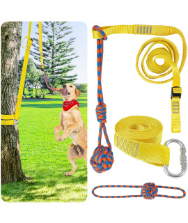 XiaZ Retractable Interactive Dog Toy, Rope Tug of War Toys for Small or Medium Dogs, Outdoor Hanging Exercise Play Tug War, Extra Durable, Safe