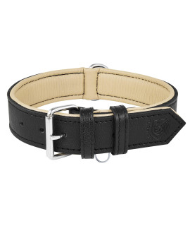 Riparo Leather Dog Collar, Large Dog Collar, Heavy Duty Dog Collar with Dog Tag Holder (Large, Black)