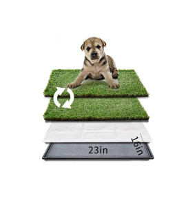 HQ4us Dog Grass Pad with Tray Small Dog Litter Box Toilet for <10 lbs Puppy,2Artificial Grass for Dogs with Anti-bite Edge,2 Pee Pads for Dogs, Realistic, Bite Resistance, Less Stink, Dog Potty Grass