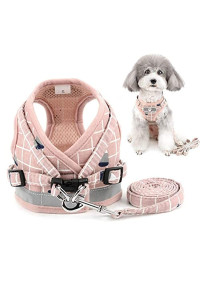 Zunea No Pull Small Dog Harness and Leash Set Adjustable Reflective Step-in chihuahua Vest Harnesses Mesh Padded Plaid Escape Proof Walking Puppy Jacket for Boy girl Pet Dogs cats Pink M