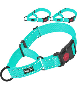 Haapaw Martingale Dog Collar with Quick Release Buckle Reflective Dog Training Collars for Small Medium Large Dogs(2 Packs) (Medium, Turquoise/Turquoise)