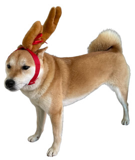 ComfyCamper Reindeer Antler Dog Halloween Costume - Headband Max Puppy Puppies Cat Kitten Pet Deer Moose Head Band, L