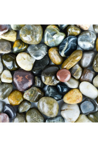 Galashield Pebbles for Plants, River Rocks, Decorative Stones for Vases, Garden Rocks Outdoor Landscaping, Polished Aquarium Gravel (2 lb Bag), 4-6 cm