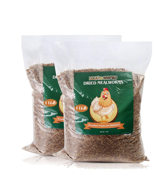 LuckyQworms Dried Mealworms, High-Protein Bulk Mealworms 22Lbs, 100% Non-GMO Mealworm Treats for Birds, Chickens, Turtles, Fish, Hamsters and Hedgehogs All Natural Animal Feed