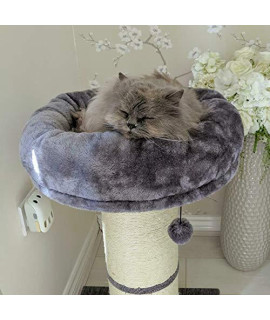 allpetsolutions Large cat Scratching Post with Plush cosy Bed, Wide Kitten Jumbo Scratcher Activity centre with Dangling Ball Toy, (Light grey 74cm), 5000 g