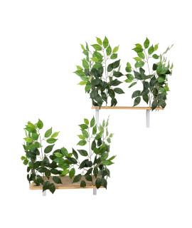 On2 Pets Cat Canopy Shelves with Leaves Handcrafted in USA, A Rectangular Set of 2 Wall Mounted Shelves in Evergreen, Medium (CN003)