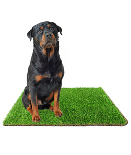 Downtown Pet Supply Replacement Dog Potty Grass, 30 x 40 - Washable Synthetic Grass Pad for Dogs, Suitable as Indoor or Outdoor Grass Pee Turf - Dog Housebreaking Supplies