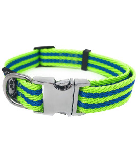Regal Dog Products Medium Lime Green/Blue Stripe Pet Collar with Metal Buckle and D Ring Durable Adjustable Dog Collar, Reinforced Metal Clasp & Nylon Webbing Other Sizes for Small & Large Dogs