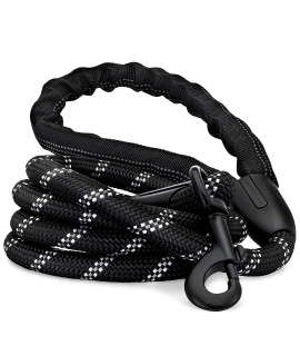 Dog Leash, Reflective Rope, Chew Resistant Paracord for Medium and Large Dogs, Durable Metal Clasp, Attaches to Pet Collar (5 Foot, Black)
