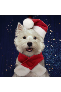 PULEIDI Pet Dog Cat Santa Hat Costume - Cat Christmas Costume Pet Clothing with Hat and Scarf for Cat, Small Dogs, Perfect for Holloween,Holiday, Christmas,Party, Photos