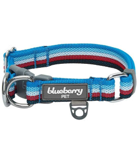 Blueberry Pet 3 Colors Multi-Colored Stripe Adjustable Dog Collar, Azure Blue and Raspberry Red, Medium, Neck 14.5-20