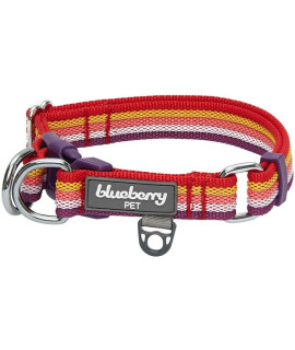 Blueberry Pet 3 Colors Multi-Colored Stripe Adjustable Dog Collar, Mixed Tone Rainbow Color, Medium, Neck 14.5-20