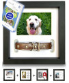 PAWCEPTIVE Dog Memorial Picture Frame with 5 Display Options- Dog Collar Memorial Frame Gift - Cat or Dog Pet Loss Gift for a Grieving Friend - Pet Remembrance Gift and Sympathy Photo Keepsake