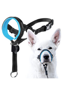 GoodBoy Dog Head Halter with Safety Strap - Stops Heavy Pulling On The Leash - Padded Headcollar for Small Medium and Large Dog Sizes - Head Collar Training Guide Included (Size 1, Blue)
